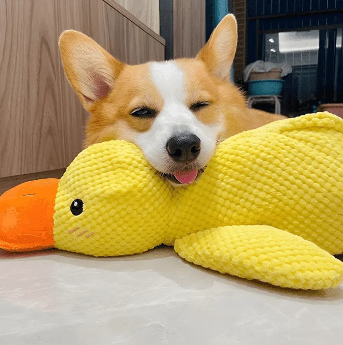 Quacker Calming Duck Toy