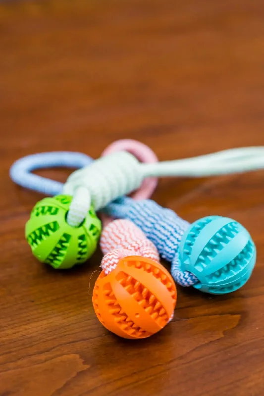 Rubber Ball Chew Toy