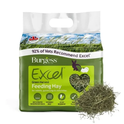 Burgess Excel Green Harvest Hay 1Kg