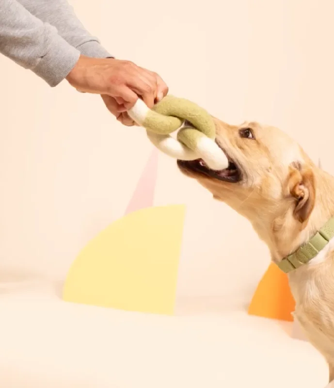 Felt Chain Link Dog Toy