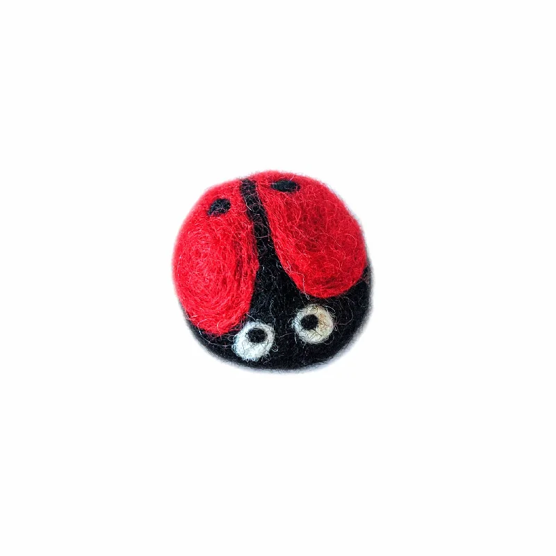 Gina the Ladybug