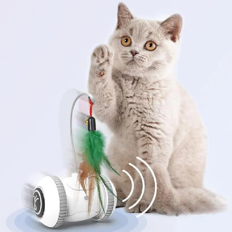 Interactive Cat Toy With Interchangeable Heads - Pet Feather Toys