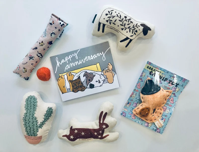 Little Squeaker Dog Toys For Little Pups