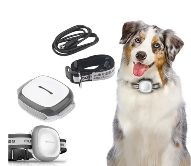 Pet Locator Collar