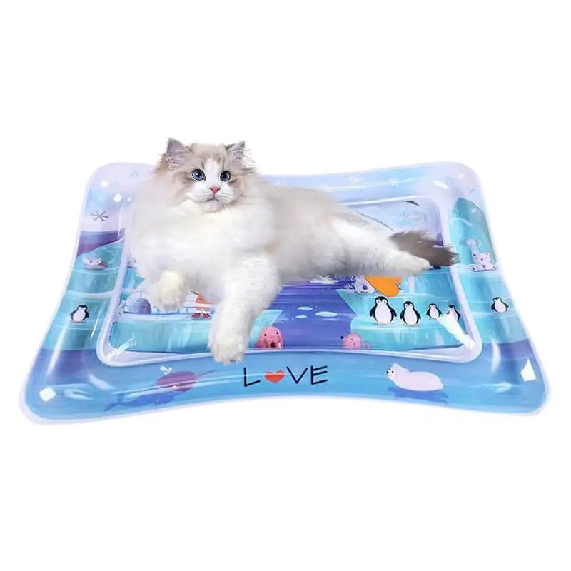 Pet Water Play Mat