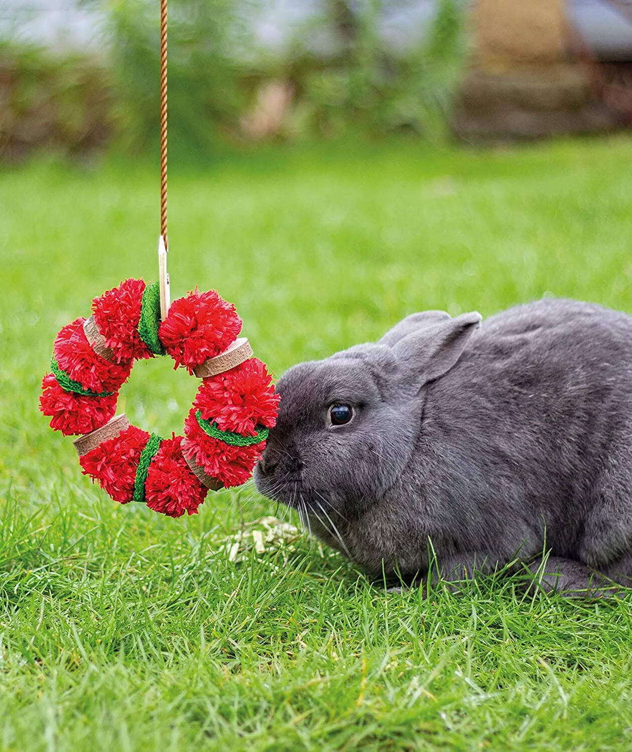 Rosewood Christmas Wreath for Small Animals