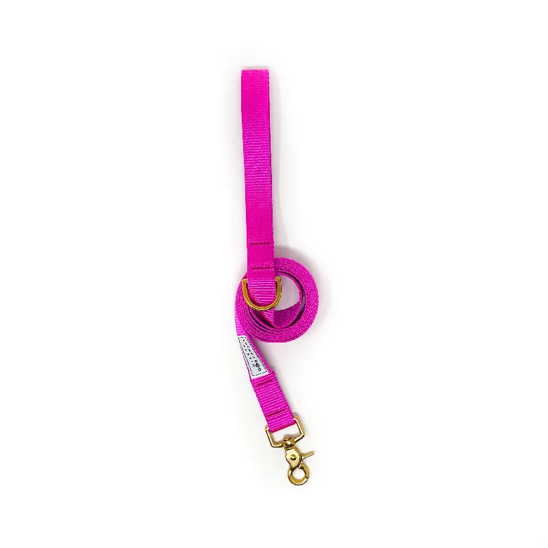 Everyday 6 ft Leash - Fuchsia