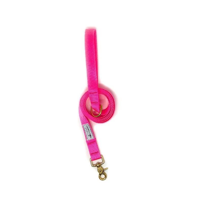 Everyday 6 ft Leash - Hot Pink