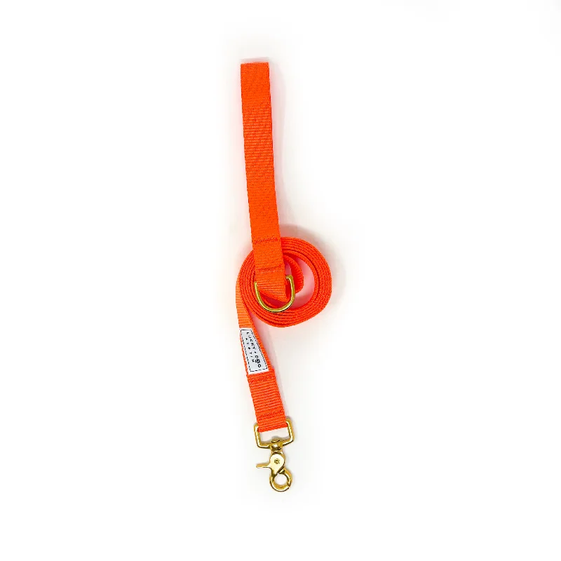 Everyday 6 ft Leash - Neon Orange