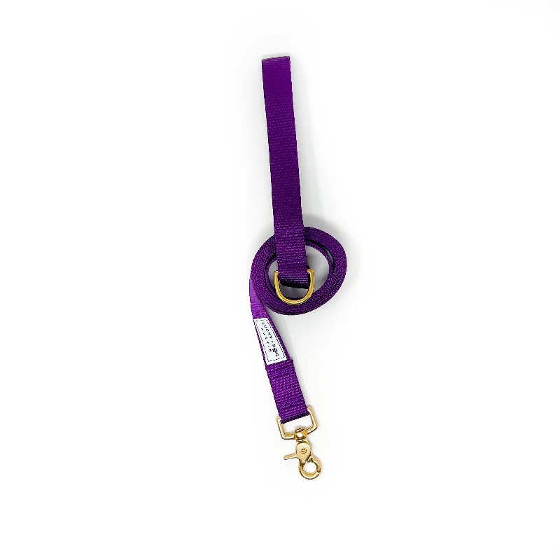 Everyday 6 ft Leash - Purple