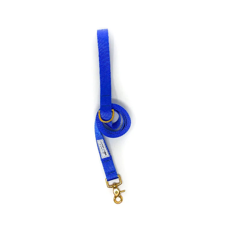 Everyday 6 ft Leash - Royal Blue