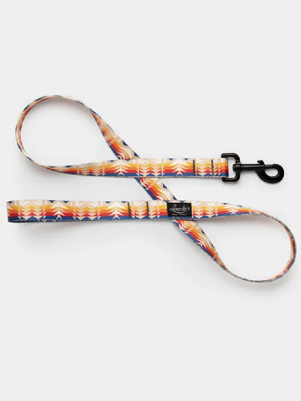 Shasta Leash