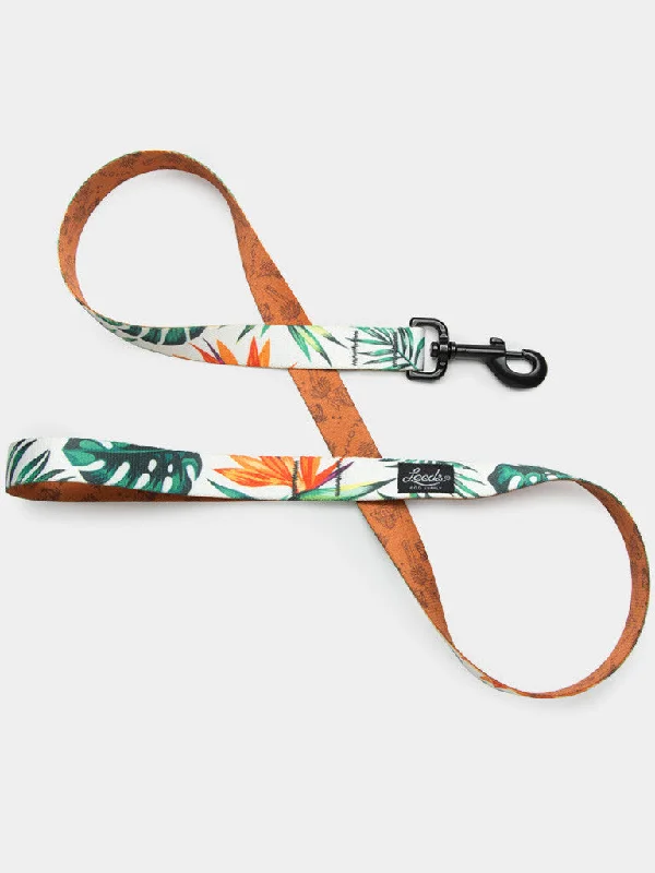 The Tropicana Leash