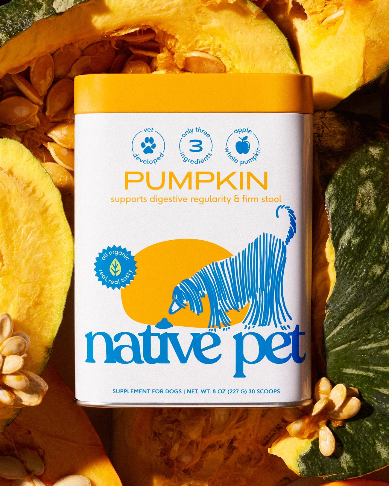 Native Pet Pumpkin Digestive Supplements (8 OZ)